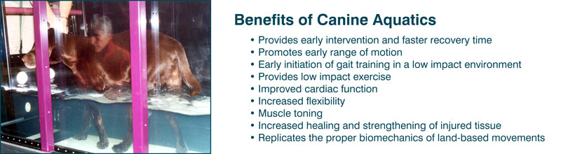 Benefits of Aquatic Therapy