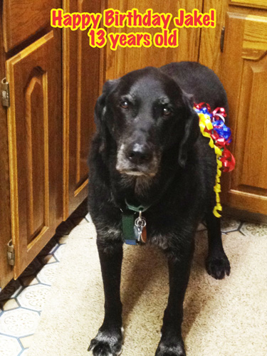 Hapy Birthday Jake!