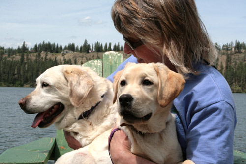 Sharon Yeoman Kyla & Joey